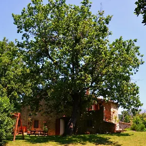 Il Venaio Massa Marittima