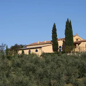 Donzellino Massa Marittima